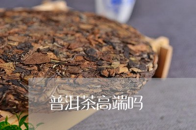 普洱茶高端吗/2023042664841