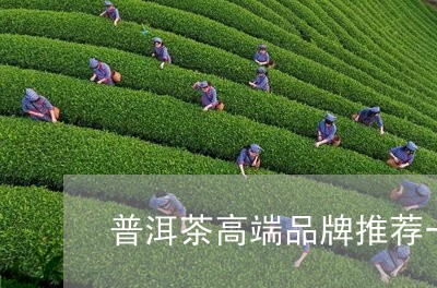 普洱茶高端品牌推荐一下/2023103105828