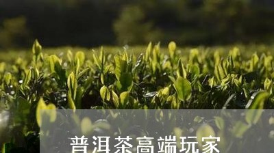 普洱茶高端玩家/2023102685035