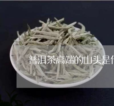 普洱茶高端的山头是什么茶/2023112470592