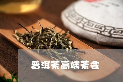 普洱茶高端茶会/2023102694825