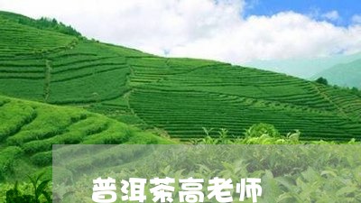 普洱茶高老师/2023042690633