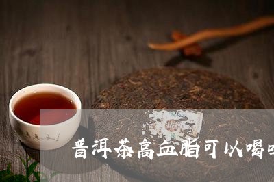 普洱茶高血脂可以喝吗/2023093074038