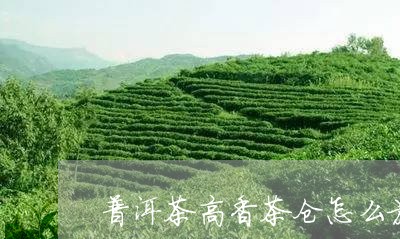 普洱茶高香茶仓怎么放/2023062989514