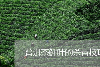 普洱茶鲜叶的杀青技巧/2023072450482