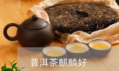 普洱茶麒麟好/2023042783890