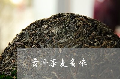 普洱茶麦香味/2023042776337