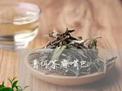 普洱茶麻嘴巴/2023042610662