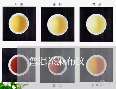 普洱茶麻布纹/2023042781869