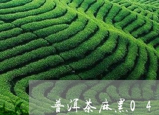 普洱茶麻黑04年价格/2023073025049