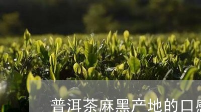 普洱茶麻黑产地的口感/2023062499480