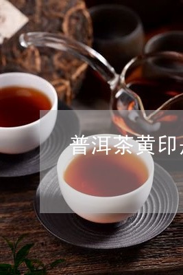 普洱茶黄印是什么意思/2023092738471