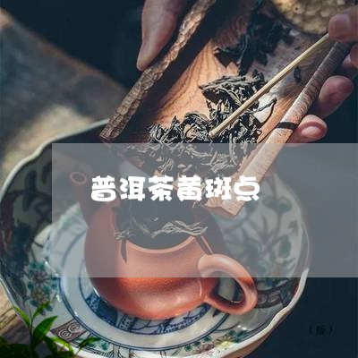 普洱茶黄斑点/2023042777230