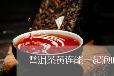 普洱茶黄连能一起泡吗/2023061530370