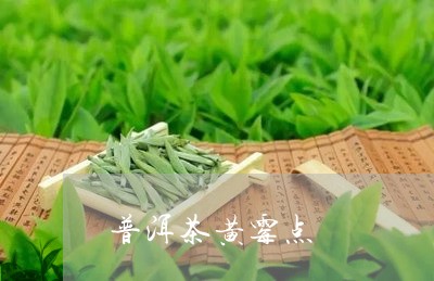 普洱茶黄霉点/2023081552937