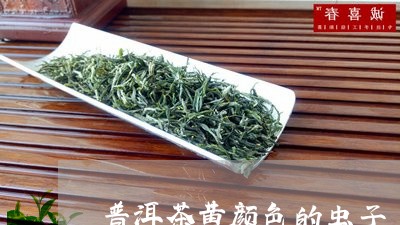 普洱茶黄颜色的虫子/2023071176050