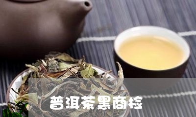 普洱茶黑商检/2023042602393