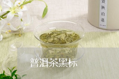 普洱茶黑标/2023090640494