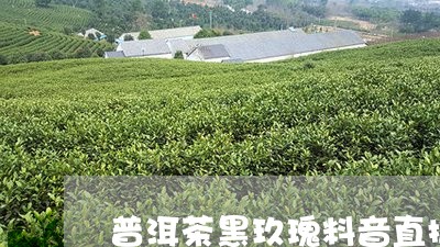 普洱茶黑玖瑰料音直播/2023072271916