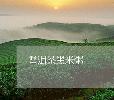 普洱茶黑米粥/2023091297482