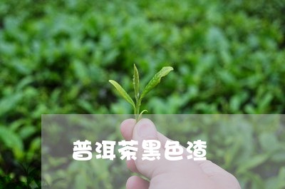 普洱茶黑色渣/2023042627895