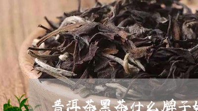 普洱茶黑茶什么牌子好/2023100781804