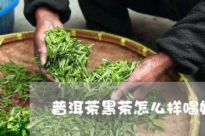 普洱茶黑茶怎么样喝好呢/2023112893715