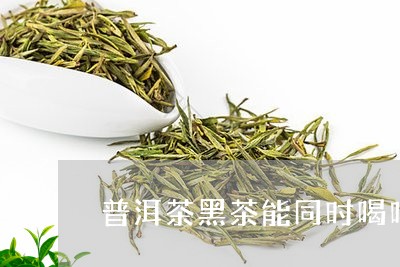 普洱茶黑茶能同时喝吗/2023080220614