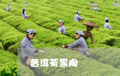 普洱茶黑陶/2023090528470