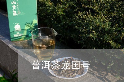 普洱茶龙国号/2023042671108