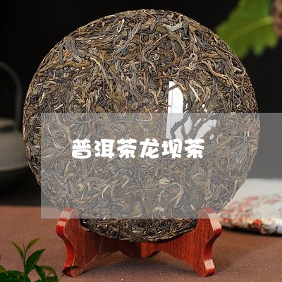 普洱茶龙坝茶/2023042846589