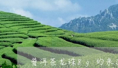 普洱茶龙珠8g的来源是/2023110311592