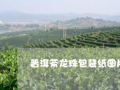 普洱茶龙珠包装纸图片/2023093091826