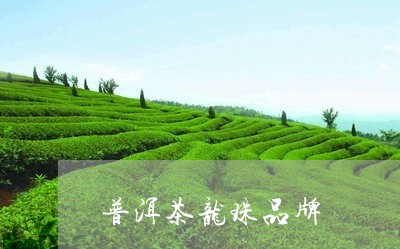 普洱茶龙珠品牌/2023110775948