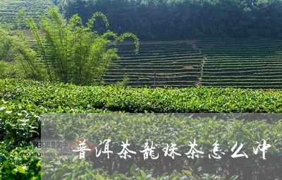 普洱茶龙珠茶怎么冲/2023091424240