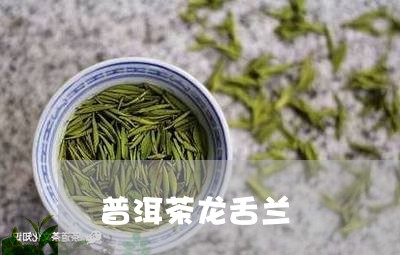 普洱茶龙舌兰/2023101643039