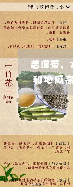 普洱茶，普洱茶和耳朵普洱茶时间泡红塔熟普洱茶普洱茶当口粮普洱茶 锋苗熟陈年普洱茶琴茗阁普洱茶普洱茶怕檀香孕妇/2023042845769