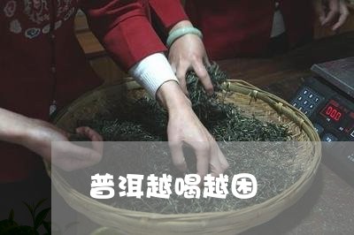 普洱越喝越困/2023090728473