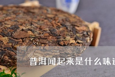 普洱闻起来是什么味道/2023061337352