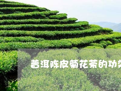 普洱陈皮菊花茶的功效/2023061370494