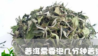 普洱需要泡几分钟普洱茶泡茶手法/2023060393726