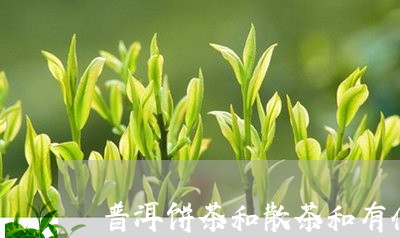 普洱饼茶和散茶和有什么优点/2023052964138