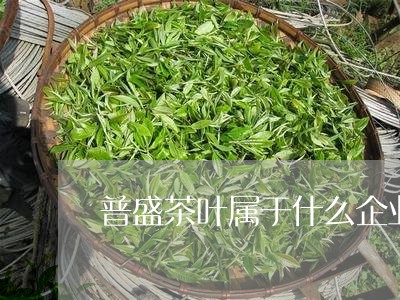 普盛茶叶属于什么企业/2023061089370