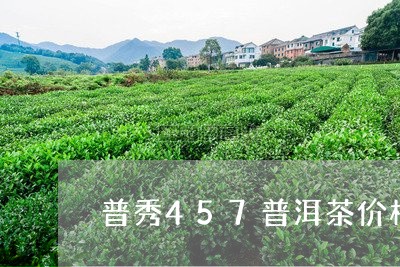 普秀457普洱茶价格/2023073115139