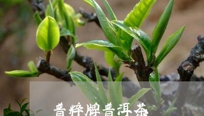 普粹牌普洱茶/2023042966937