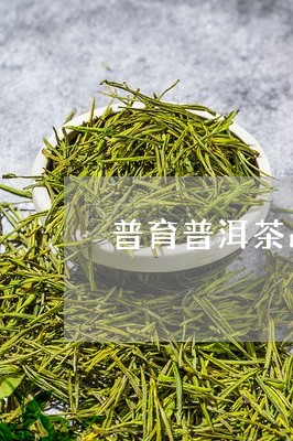 普育普洱茶品牌怎么样/2023092716259