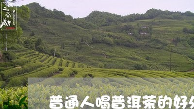 普通人喝普洱茶的好处/2023072294967