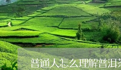 普通人怎么理解普洱茶/2023061884717