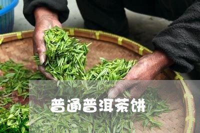 普通普洱茶饼/2023091226048