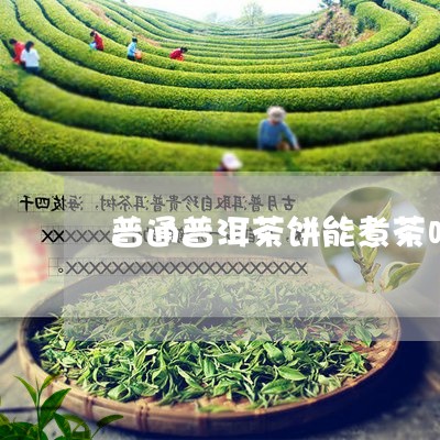 普通普洱茶饼能煮茶吗/2023062256080